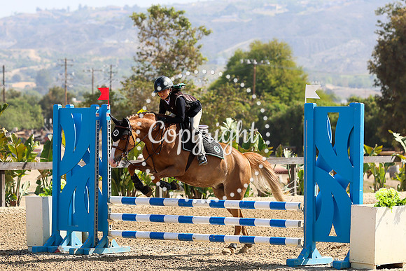 Fancy_Pants_(202)_20250529_2090