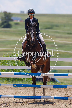 Irish_(990)_20250618_3902