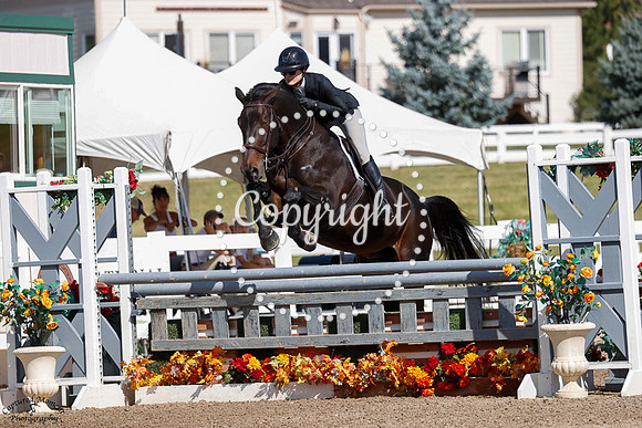 Morton_Vt_Merelsnest_(1214)_20240911_4082