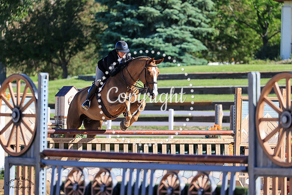 Coeur_Du_Rouet_(471)_20230621_6419