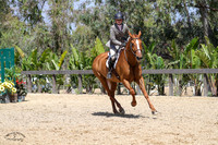 Pomme_Frite_(2165)_20230608_1940