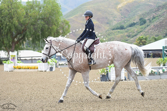 Aragorn_(1546)_20230525_1648