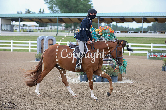 Feelin_Lucky_(1433)_20250626_1799