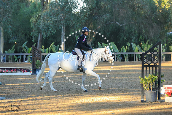 Rosecroft_Lucky_Girl_(753)_20241012_3157
