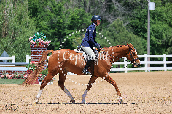 Capistrano_Z_(682)_20230621_7117