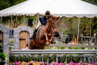 Tealeo_(306)_20250416_1792