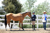 Candescent_(335)_20230622_2175