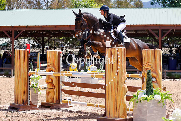Falco_Sl_(186)_20230427_2624