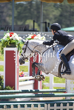 Capistrano_(993)_20230624_4977