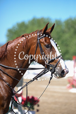 Editer_Vd_Ark_(318)_20230623_0012