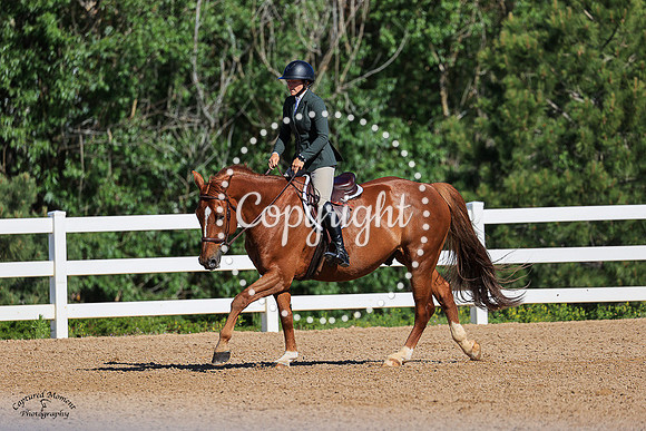Mango_Cart_(980)_20230621_6475