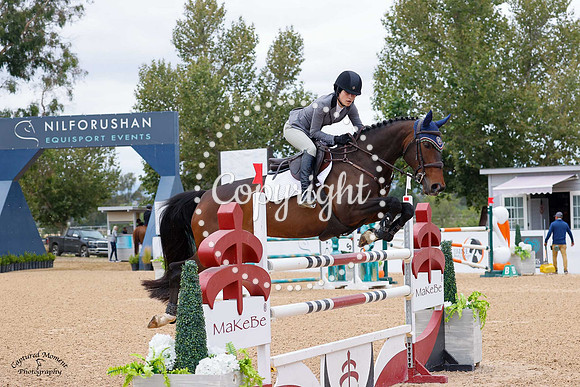 Quinarita_(232)_20230602_1501