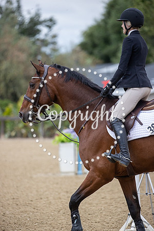 Folletaire_(388)_20230601_5770