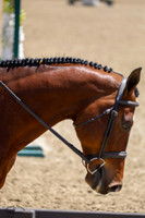 Four_Point_Oh_(333)_20230426_0453