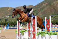 Tiny_Dancer_(8253)_20230526_1537