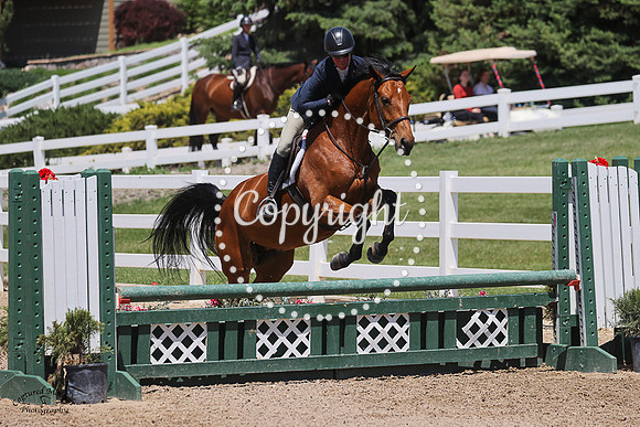 Memphis_Blues_(891)_20230621_0644