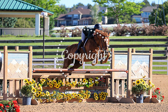 Mango_Cart_(980)_20230621_6343