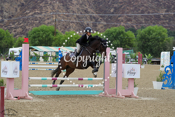 Kai_(206)_20241018_1486