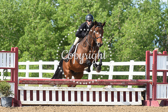 Ttfn_(489)_20230614_0427