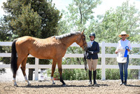 Candescent_(335)_20230622_2179