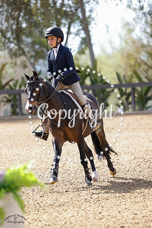 Celebration_(217)_20230422_2354