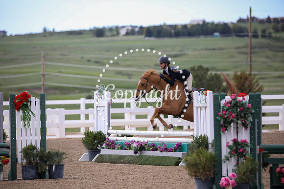 Flower_Power_(207)_20230615_1404