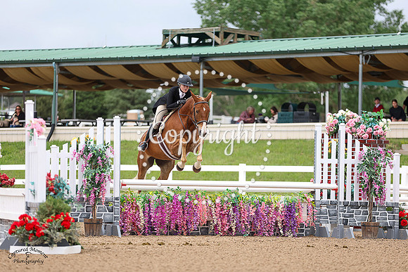 Golden_Ticket_(542)_20230616_5165