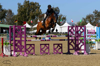 Hd_Saxo_(276)_20230422_1754