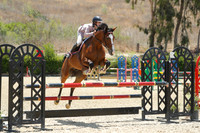 Olympus_(596)_20250717_0514