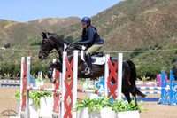 Abby_(1384)_20230526_1463