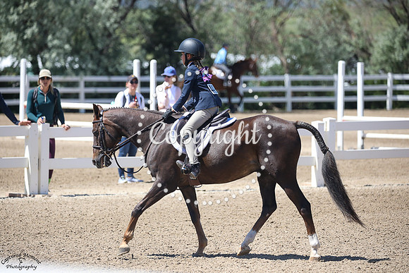 Hidden_Springs_Waltz_(448)_20230624_1495