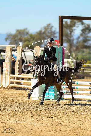 Bjerregards_Katja_(1115)_20241013_6220