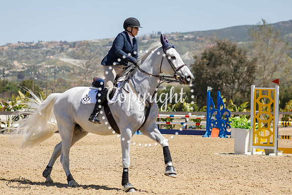 Sig_Silver_Surfer_(257)_20230420_2515