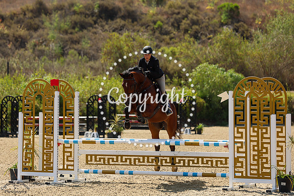 The_Cardo_(1431)_20250626_2807