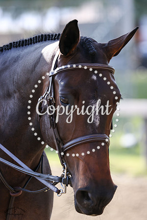 Jubilee_Tbf_(203)_20230420_0068