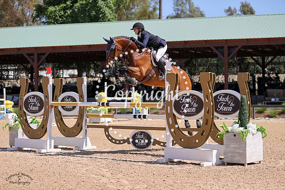 Hd_Saxo_(276)_20230430_2998