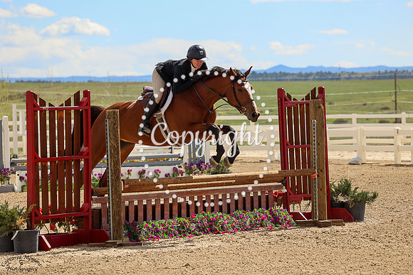 Georgian_Bay_(535)_20250516_3407