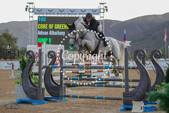 Cobe_Of_Greenhill_(102)_20241004_2657