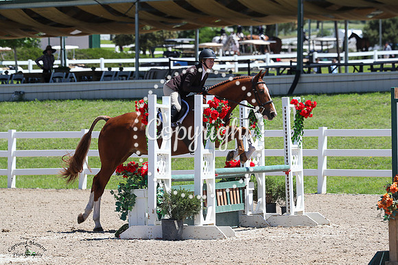 Capistrano_Z_(682)_20230623_3009
