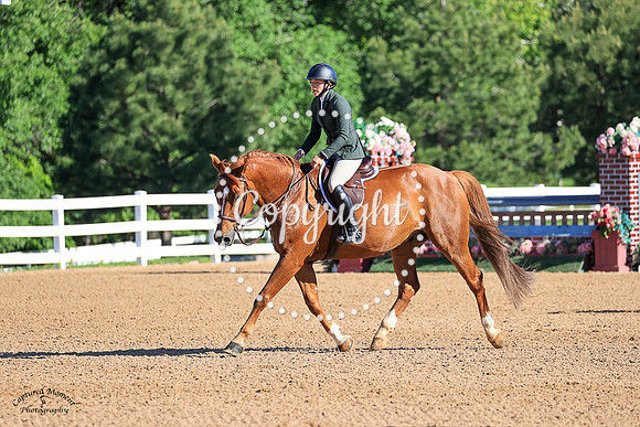 Mango_Cart_(980)_20230621_6351