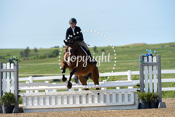 Buckaroo_(236)_20230614_0515