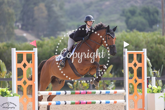 Berlin_(613)_20250425_3586