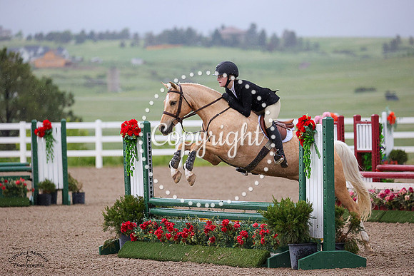 Ldybug_Everybody_Knows_(153)_20230616_4123