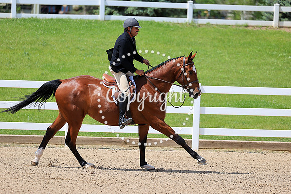 Cazador_Wh_(388)_20230615_0895