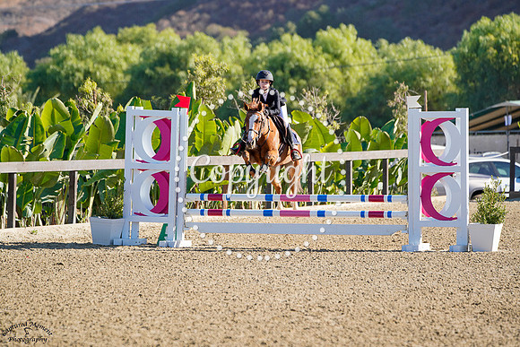 Focalize_Dew_Drop_(1399)_20241020_0236