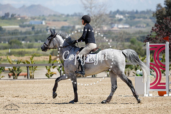 Hendricks_Martini_(870)_20230420_2393