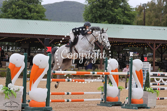 Belfast_Z_(1751)_20230531_1068