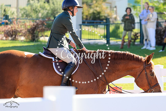 Mango_Cart_(980)_20230621_6363