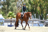 First_Look_(1878)_20230603_1908
