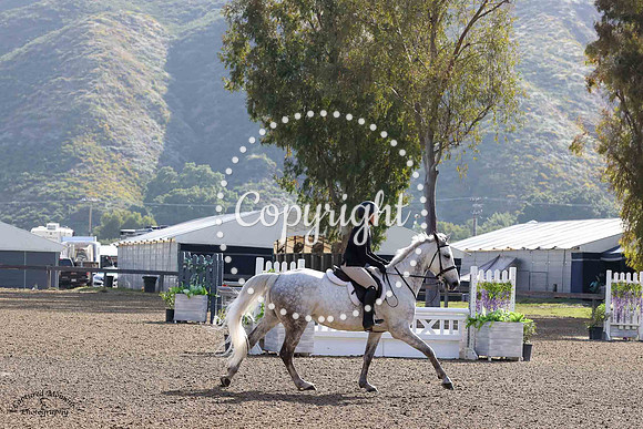 Castor_(5024)_20230420_0177